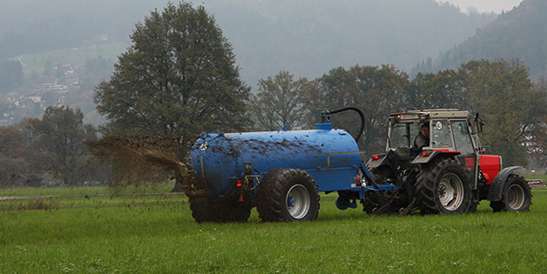 Düngung.jpg © LK Vbg.