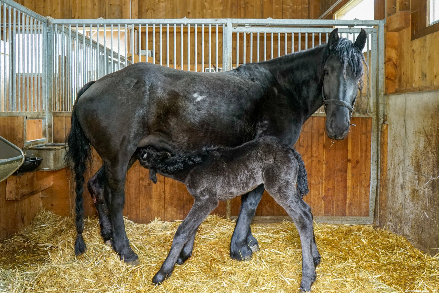 Starker Familienbetrieb mit stimmigem Betriebskonzept.jpg © Etter