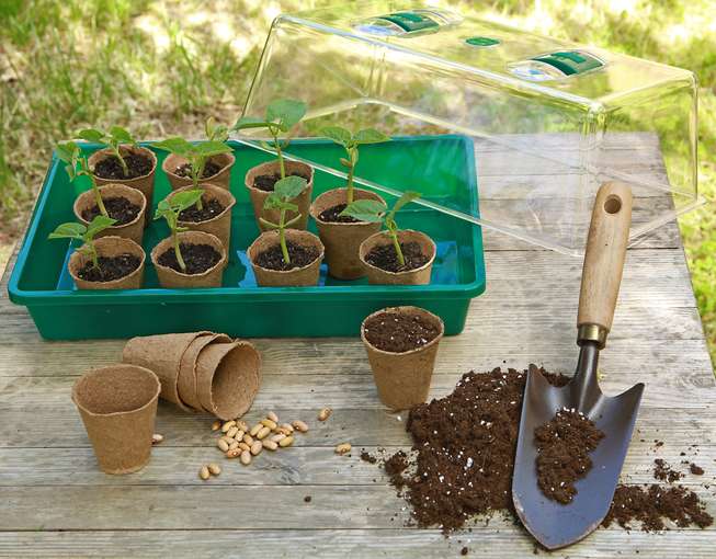 Foto Aussaat.jpg © Adobe Stock/hcast