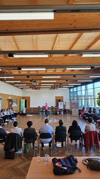 20260325 091343.jpg 20260325 091343.jpg