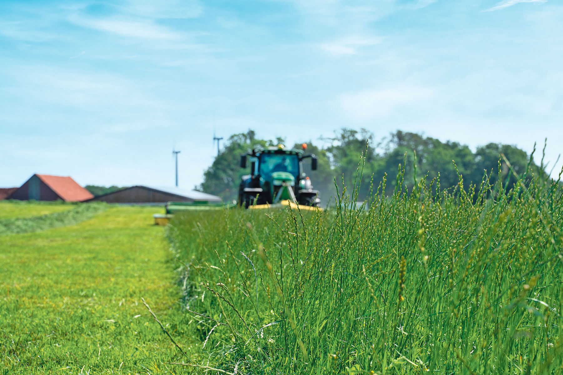 übers Feld gredt .jpg © Wikipedia