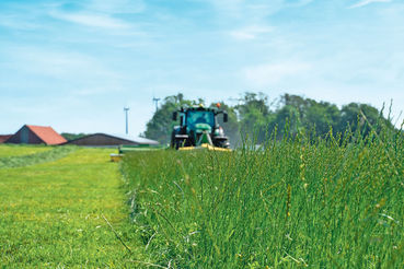 übers Feld gredt .jpg © Wikipedia