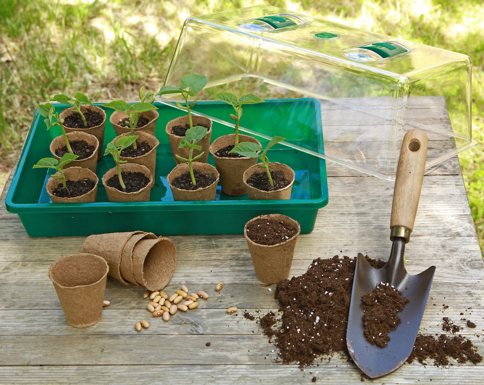 pfl_Gartentipp_8.4_Im Gemüsegarten_Aussaat oder Jungpflanzen_AdobeStock_232153769_hcast.jpg © LK OÖ