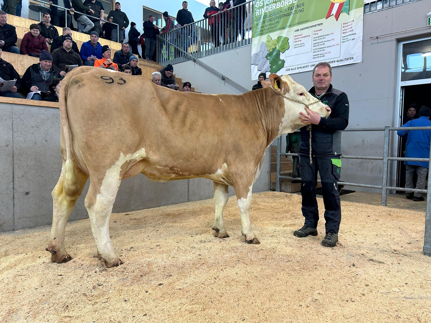 393_93.jpg © RZO/David Schatz