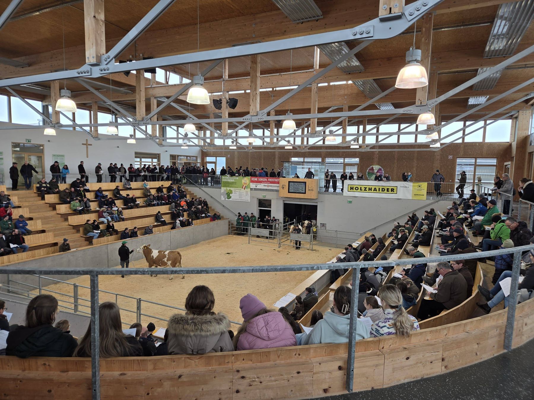 393_Ring.jpg © RZO/David Schatz