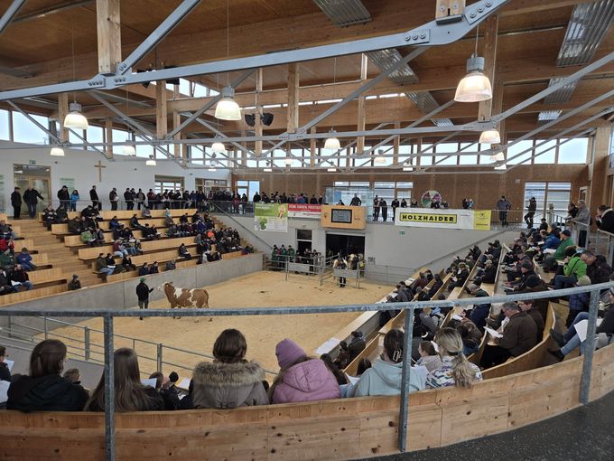 393_Ring.jpg © RZO/David Schatz