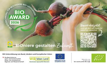 [1775657441350315.jpg]