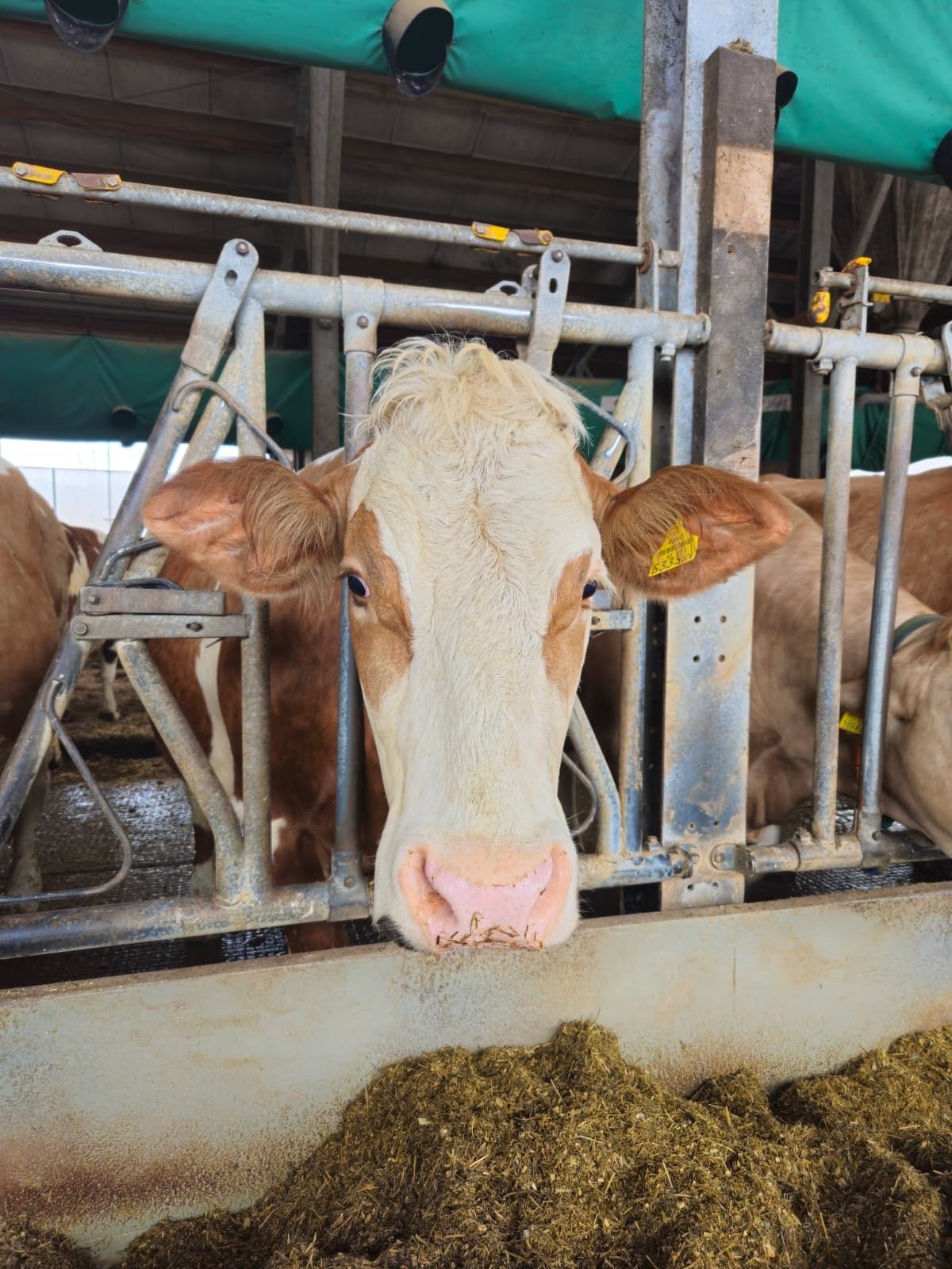 Betrieb (1).jpg © BBK Melk