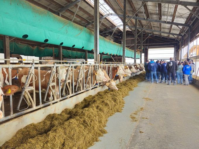 Betrieb (6).jpg © BBK Melk