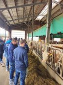 Betrieb (7).jpg © BBK Melk Betrieb (7).jpg © BBK Melk