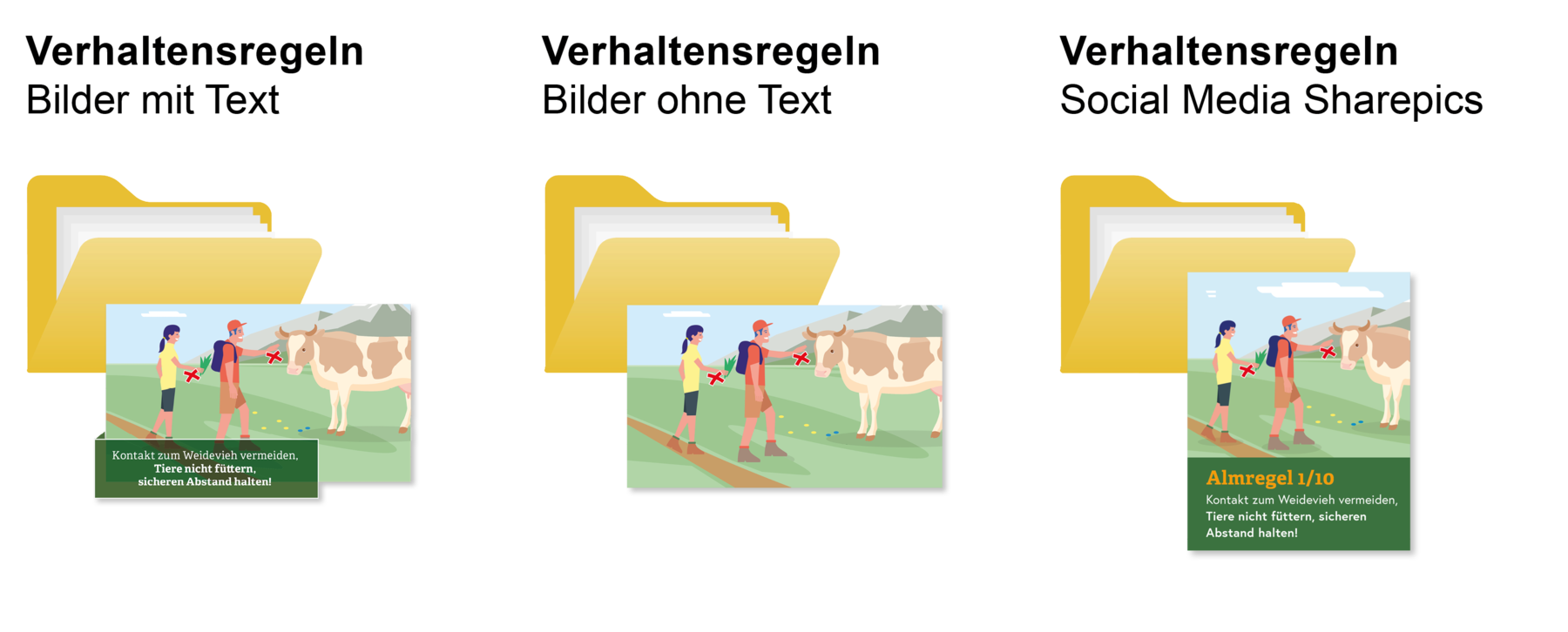 Verhaltensregeln für den Umgang mit Weidevieh © Illustration: Andreas Rampitsch
