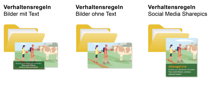 Verhaltensregeln für den Umgang mit Weidevieh © Illustration: Andreas Rampitsch
