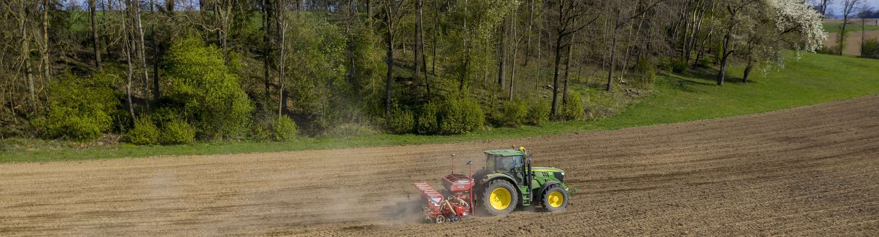 Mais_Saat_404-ID90239@agrarfoto.com.jpg © agrarfoto.com