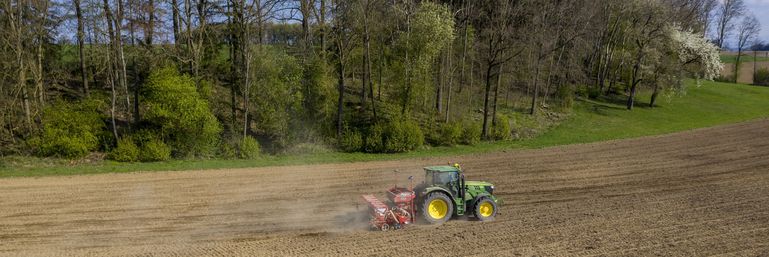 Mais_Saat_404-ID90239@agrarfoto.com © agrarfoto.com