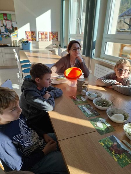 Welches Tier hat welches Ei gelegt.jpg