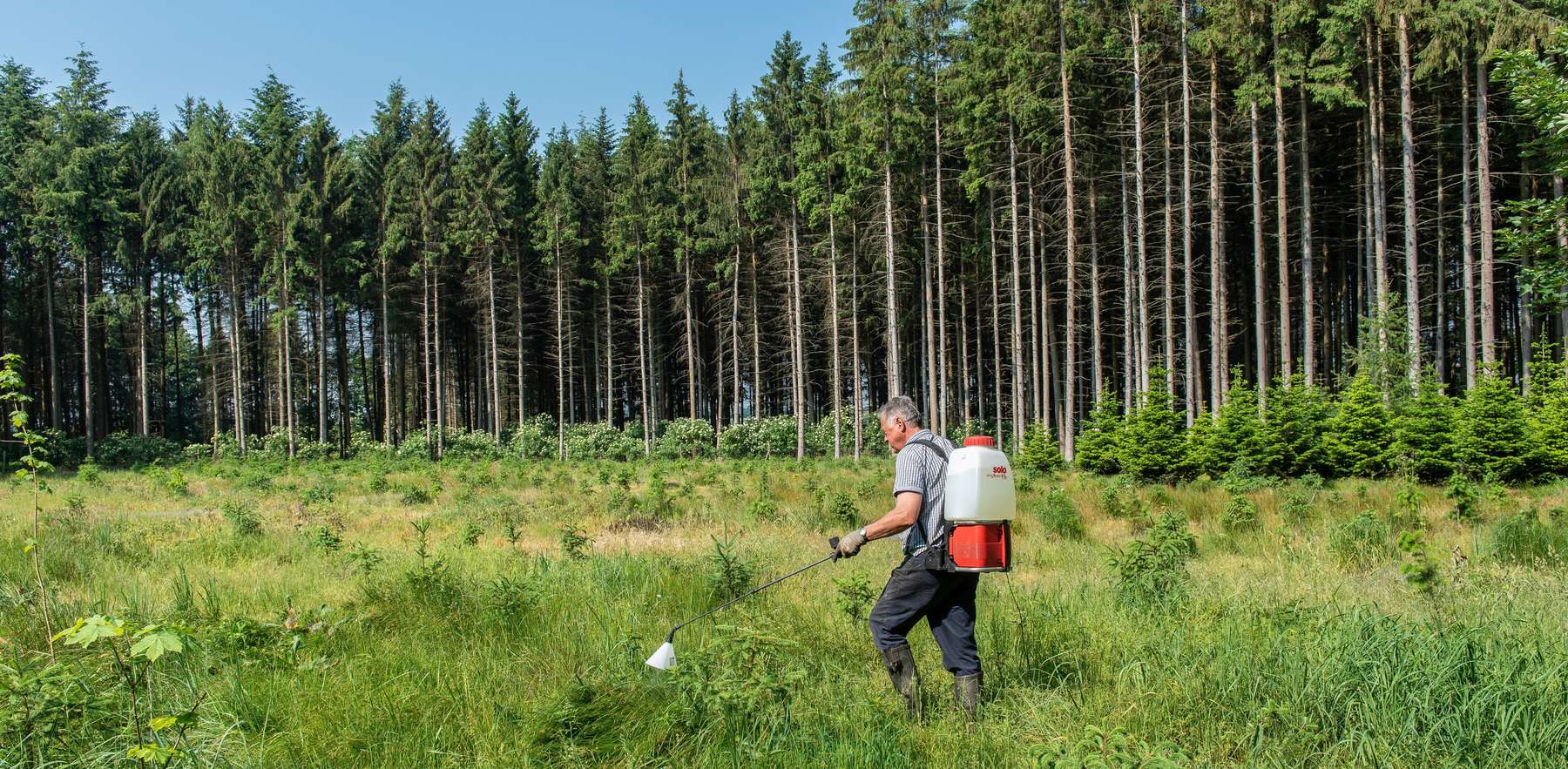 Unkraut_spritzen_im_Forst_agrarfoto.com.jpg © agrarfoto.com