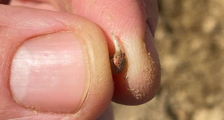 -6604731125531174775.jpg © Feitzlmayr Hans-Jörg