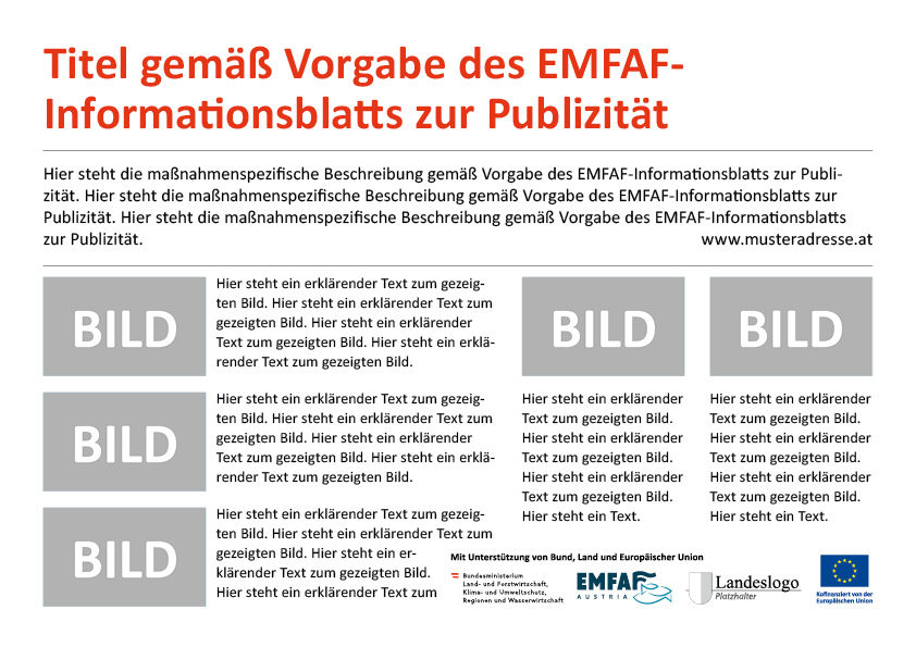 LOGO EMFAF_Poster_Bund+EMFAF+Land+EU_A3_2025.jpg © Archiv