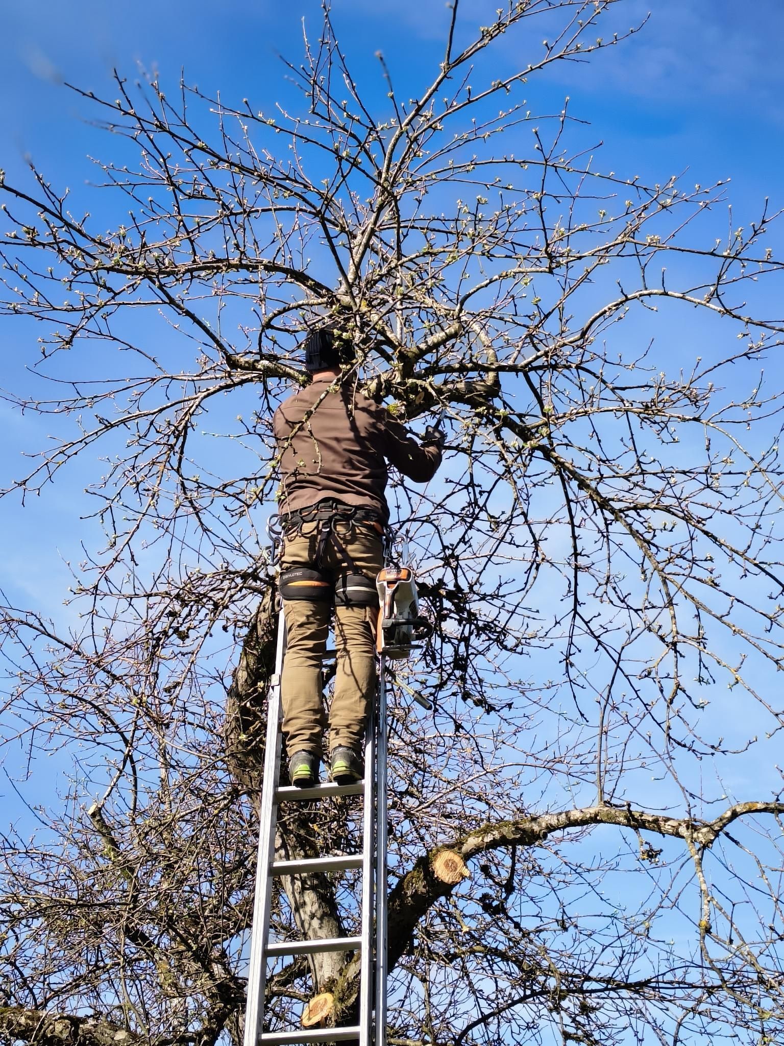 IMG_20260411_164134.jpg © Archiv