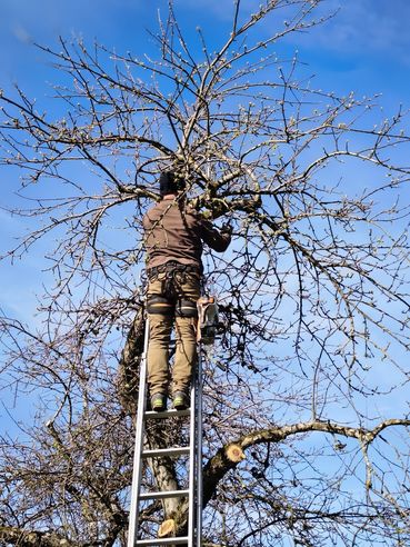 IMG_20260411_164134.jpg © Archiv