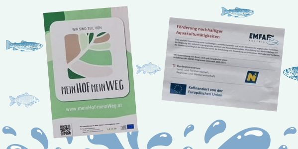 Foto EMFAF PublizitätsRL c Eva Kail LK NÖ.png © Fischillustrationen Eva Kail/LK NÖ