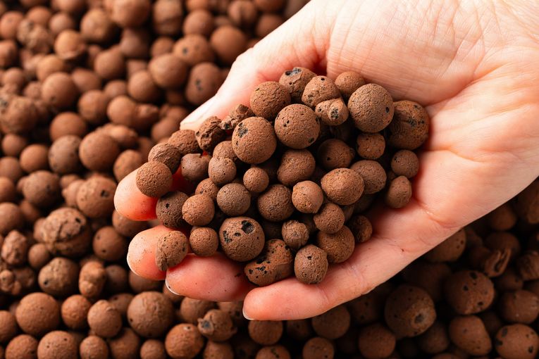 AdobeStock_810891618.jpg © AdobeStock/Matteo Ceruti