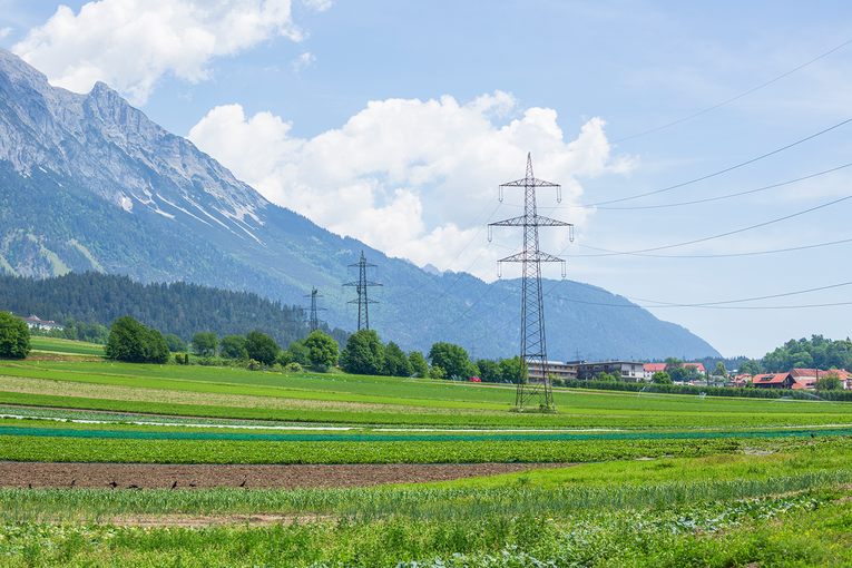 Strommasten in einem Gemüsefeld © © Michaela Kölle