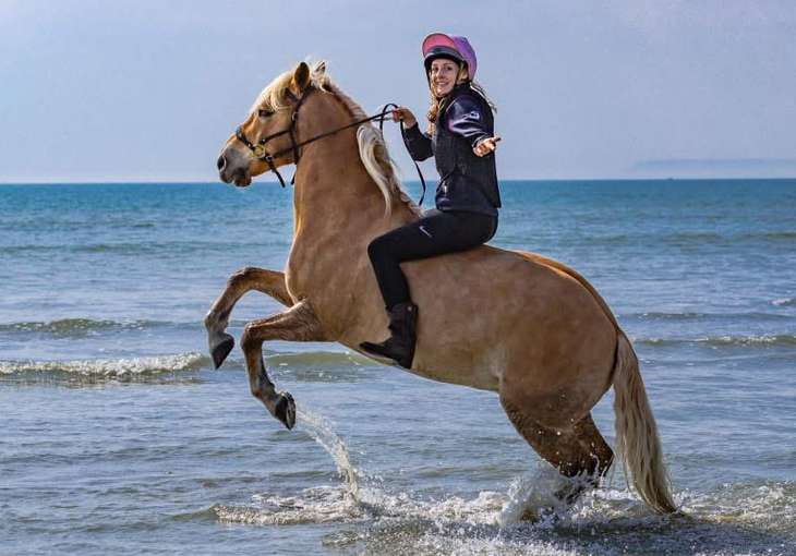 Haflinger_Lucy Chester.jpg © Ellie Osborne Photography