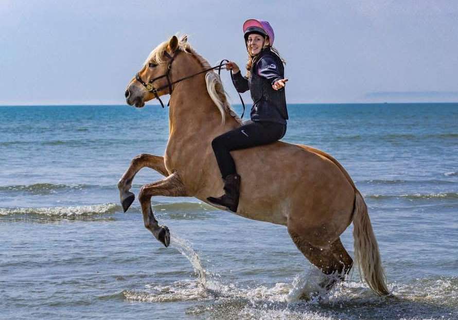 Haflinger_Lucy Chester.jpg © Ellie Osborne Photography