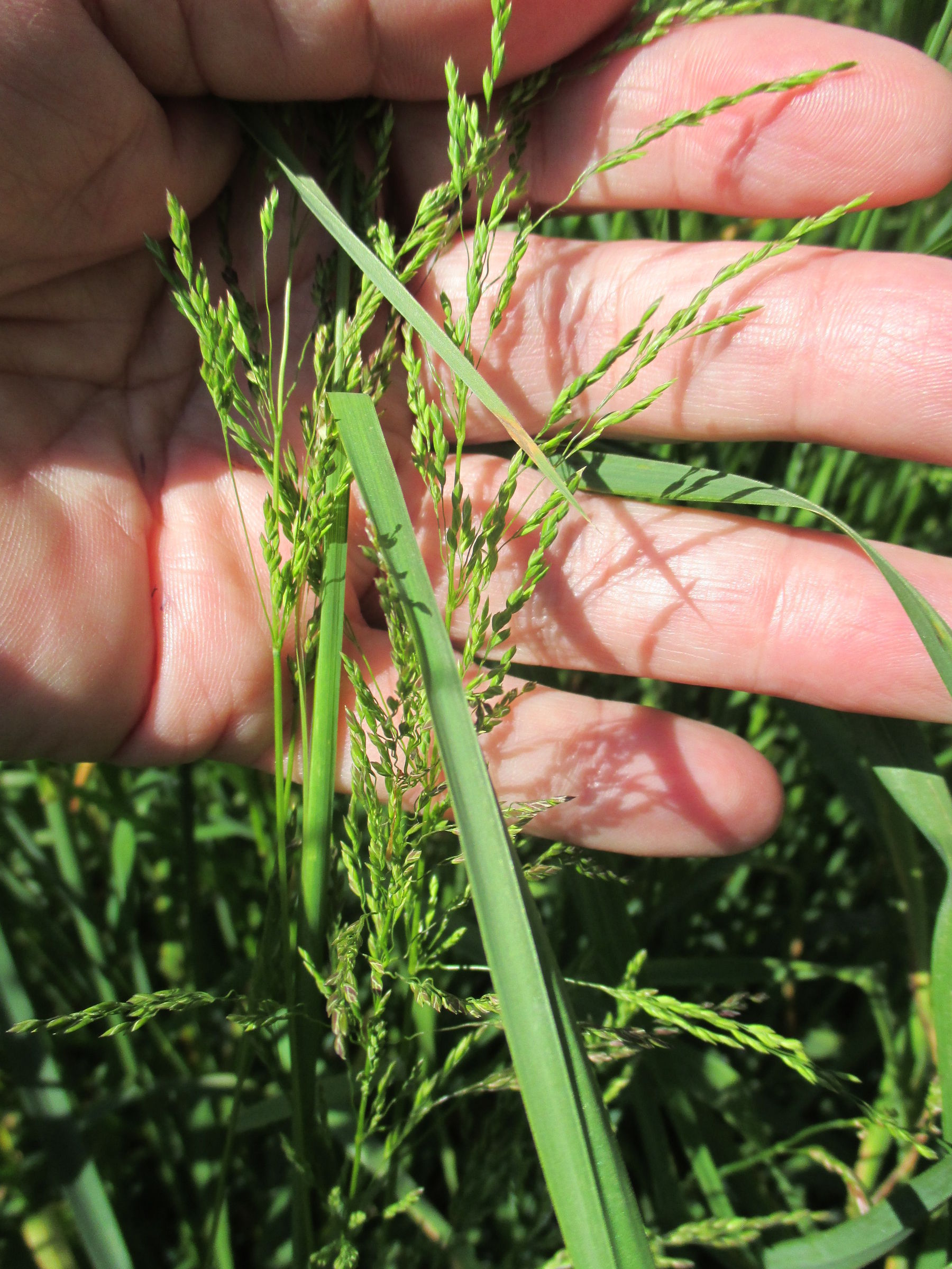 © Martina Löffler/LK Niederösterreich