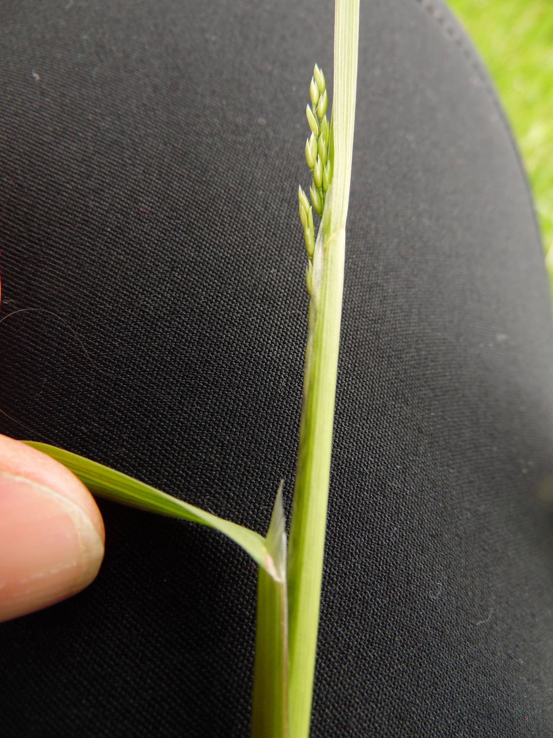 © Martina Löffler/LK Niederösterreich