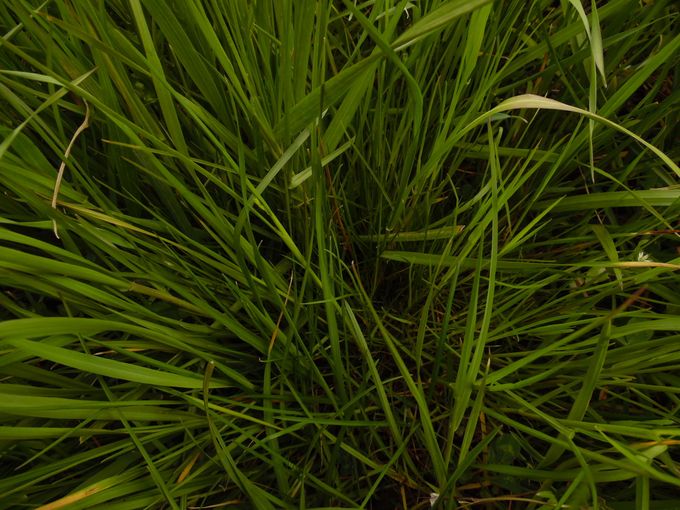 © Martina Löffler/LK Niederösterreich