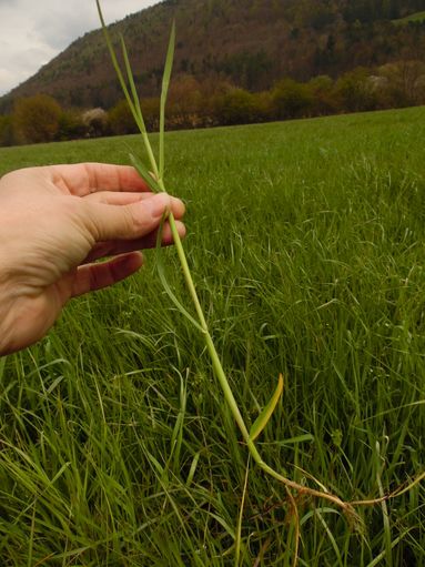 © Martina Löffler/LK Niederösterreich