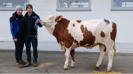 Versteigerung Ried - 3.bmp © FIH