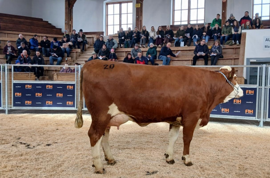 Versteigerung Ried - 1.bmp © FIH