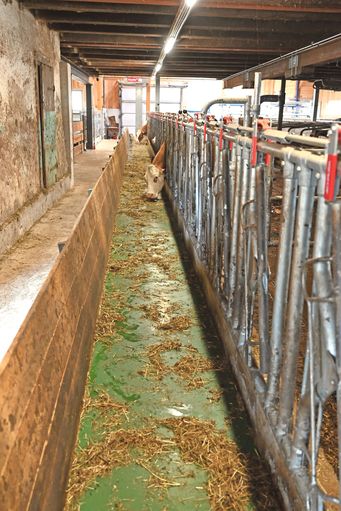 Familie Rest.jpg © Mooslechner