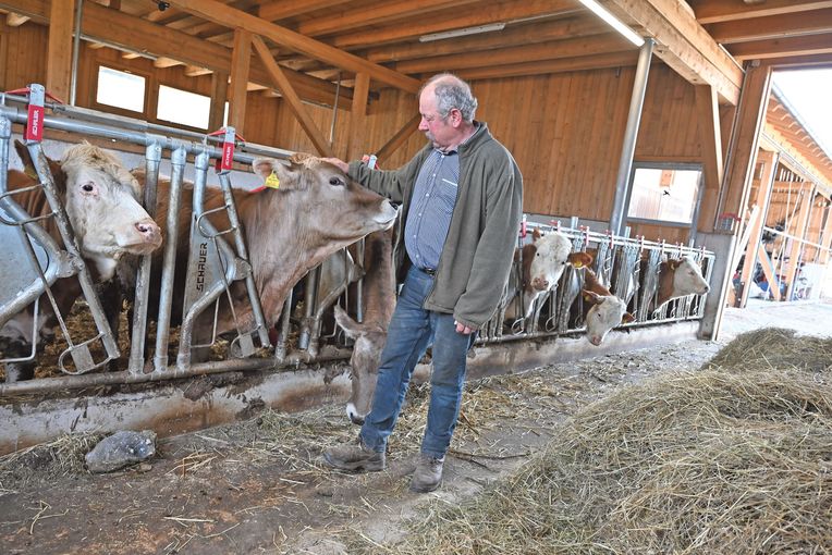 Familie Rest.jpg © Mooslechner