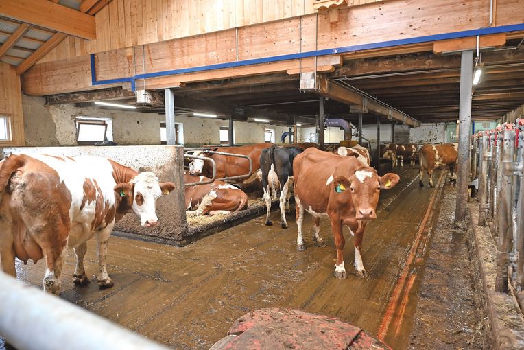 Familie Rest.jpg © Mooslechner