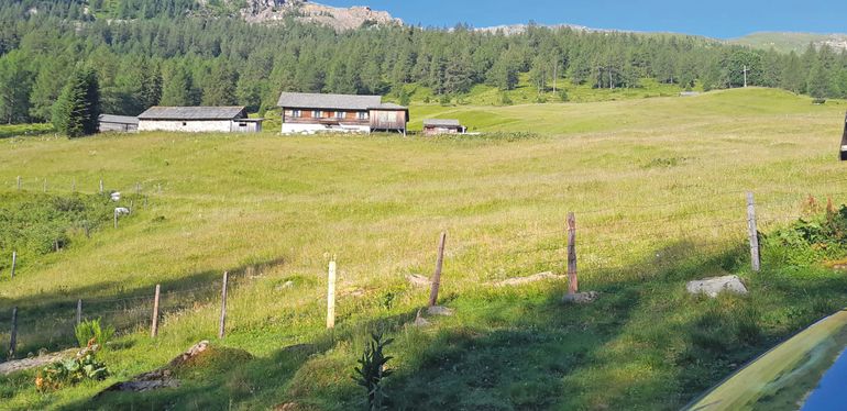 Familie Rest.jpg © Mooslechner