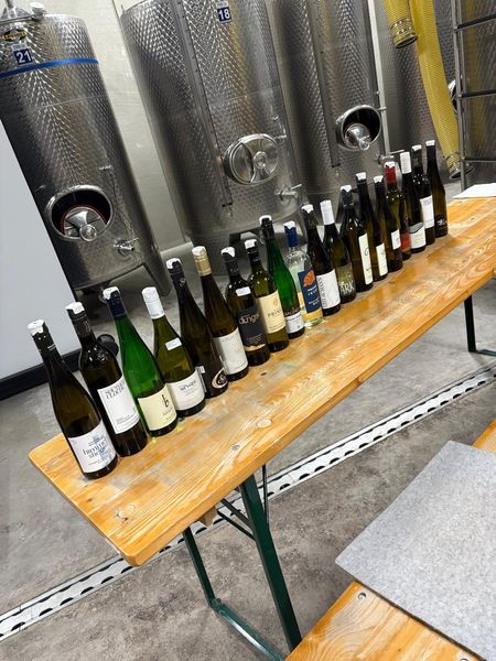 Weinsensorik (7).jpg