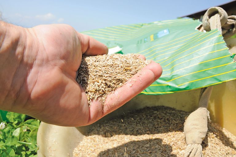 Saatgut Bio.jpg © Dürnberger