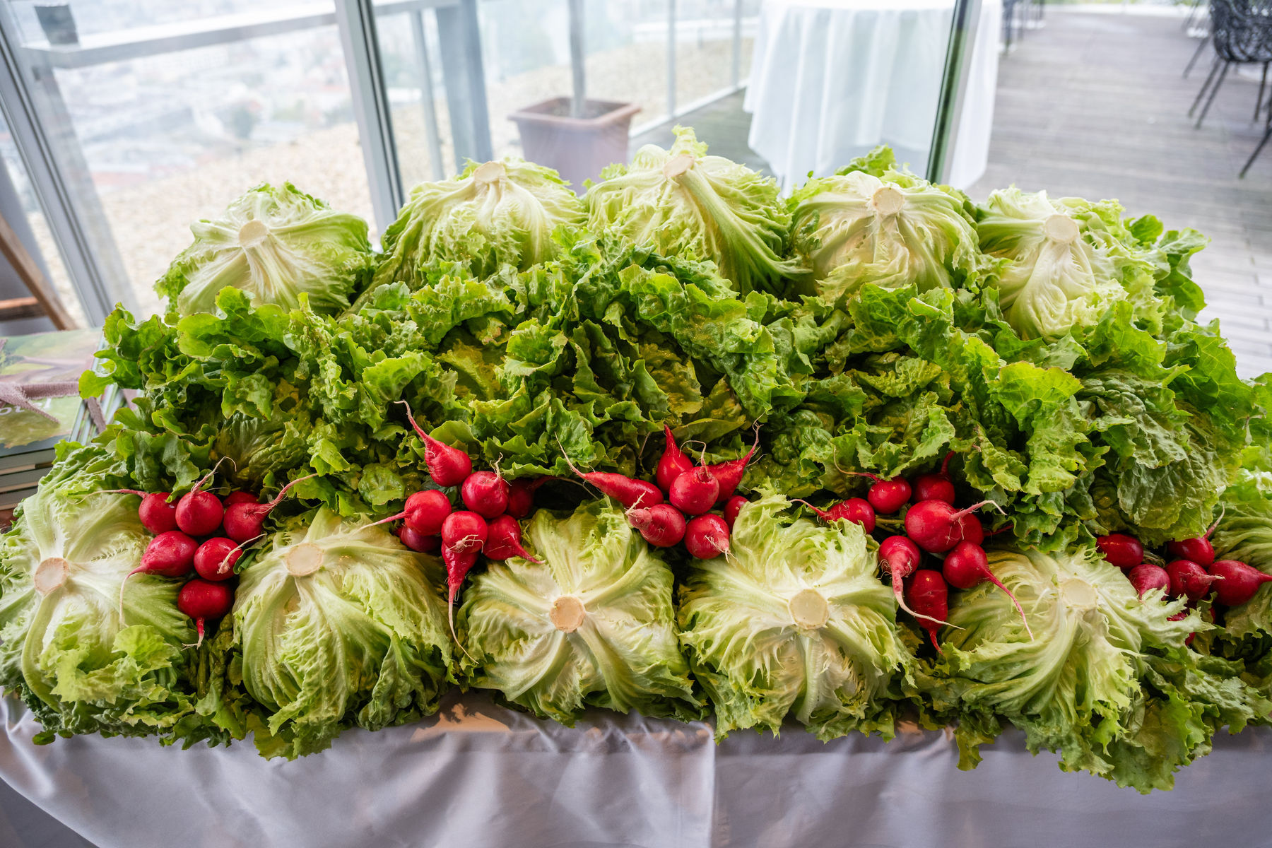 © LK Steiermark/Danner