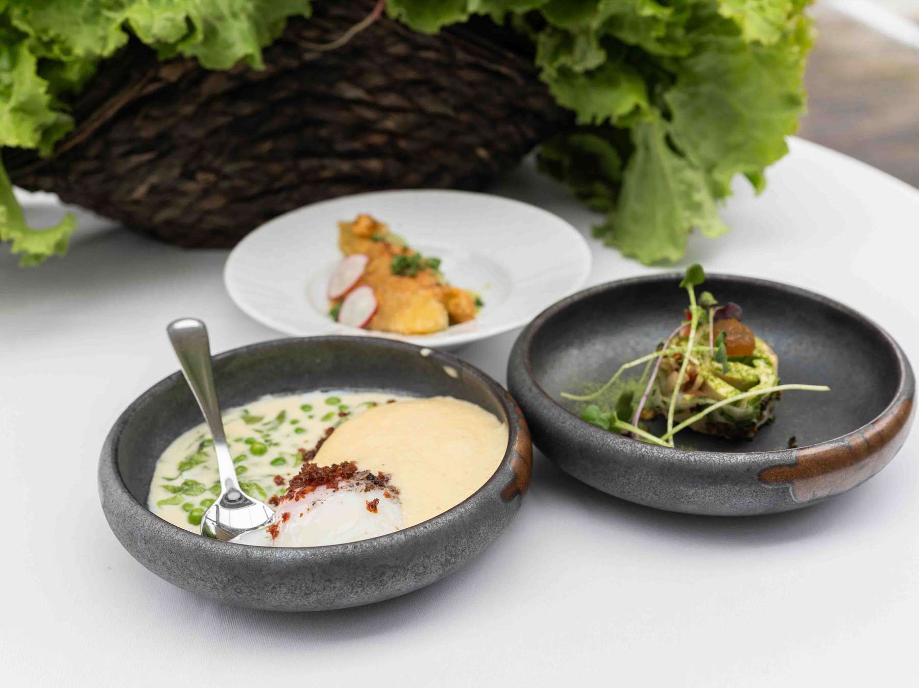 Saisonopening Krauthäuptel_3 © LK Steiermark/Danner