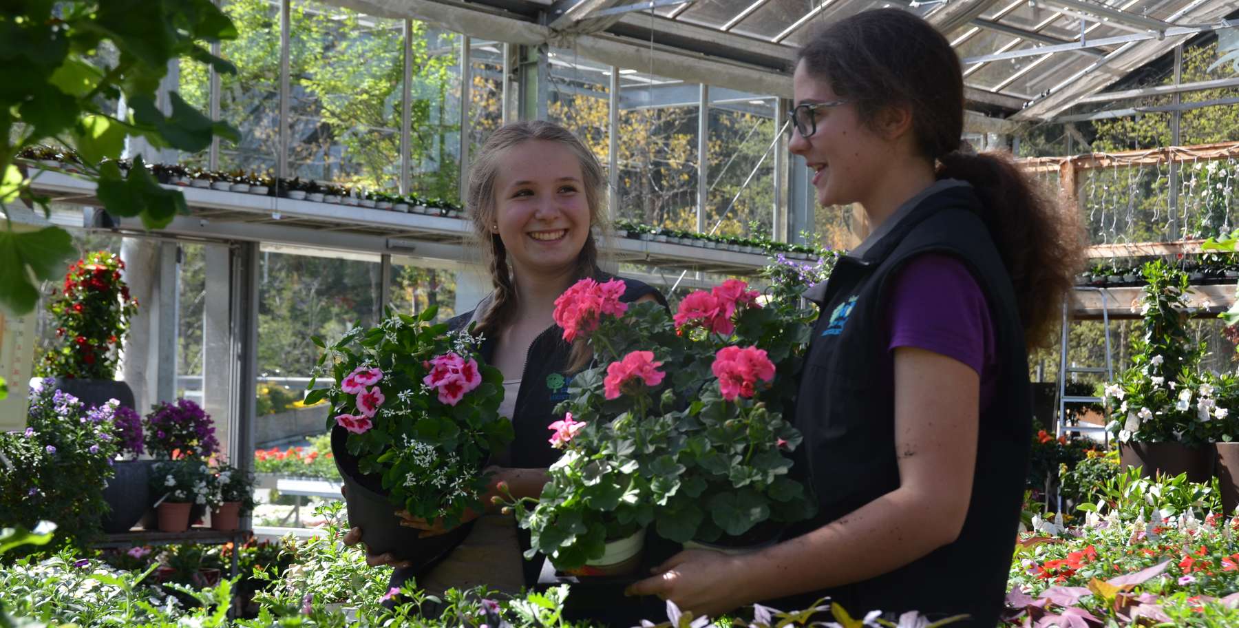 Mitarbeiter Gärtnerei 2.jpg © LK Kärnten/Schrott-Moser