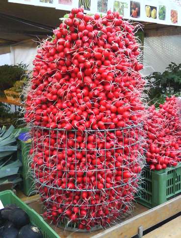 sb16_mt_korb.jpg © Dürnberger