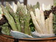 Weißer und grüner Spargel © LK OÖ