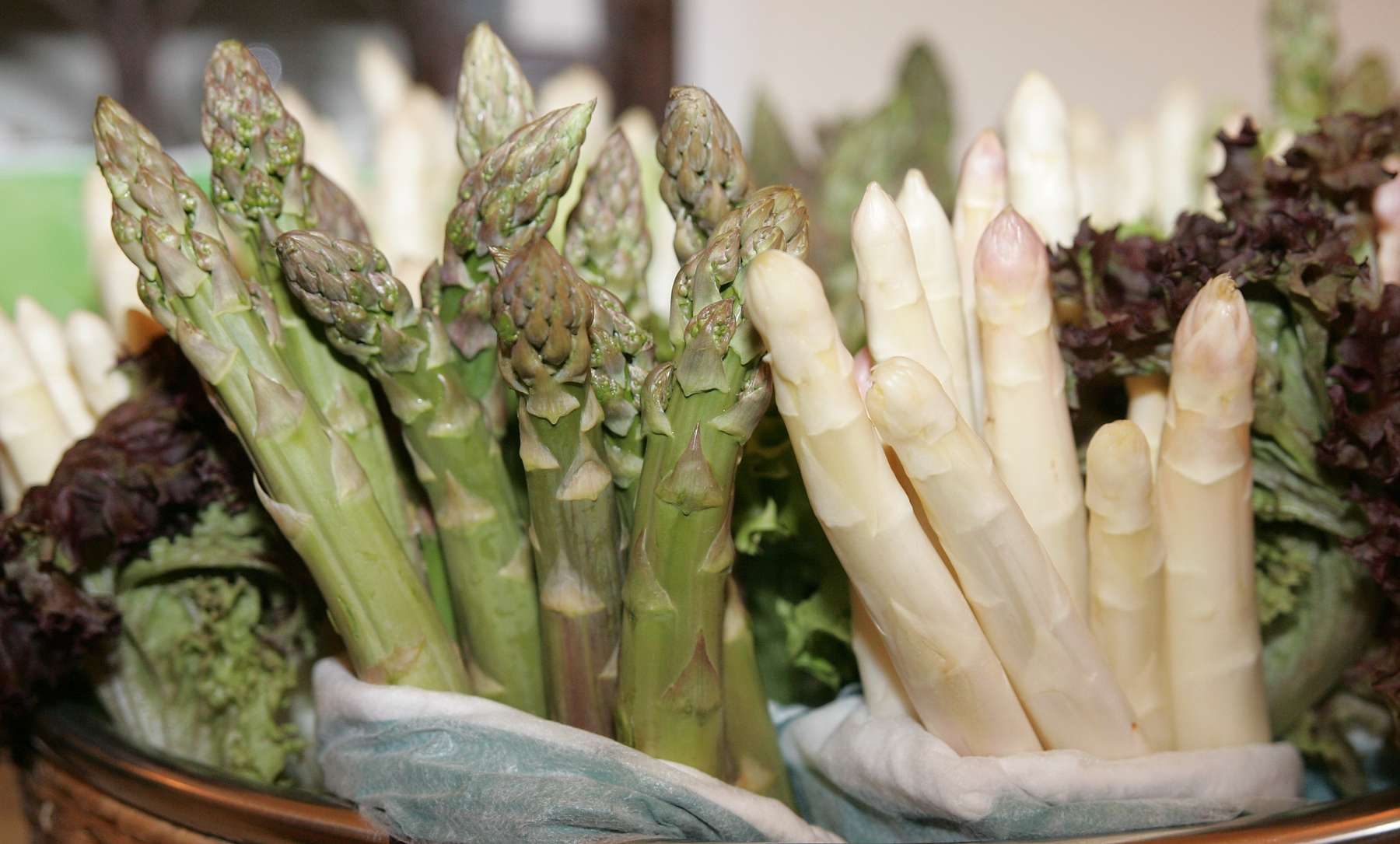 Weißer und grüner Spargel © LK OÖ