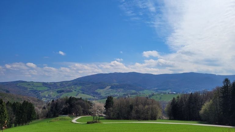 Tag der Elsbeere 2026 (1).jpg © ElsbeerReich