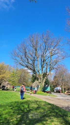 Tag der Elsbeere 2026 (4).jpg © ElsbeerReich