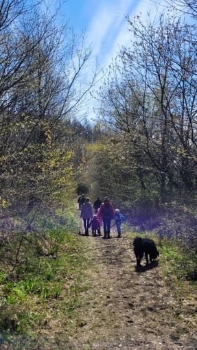 Tag der Elsbeere 2026 (5).jpg © ElsbeerReich